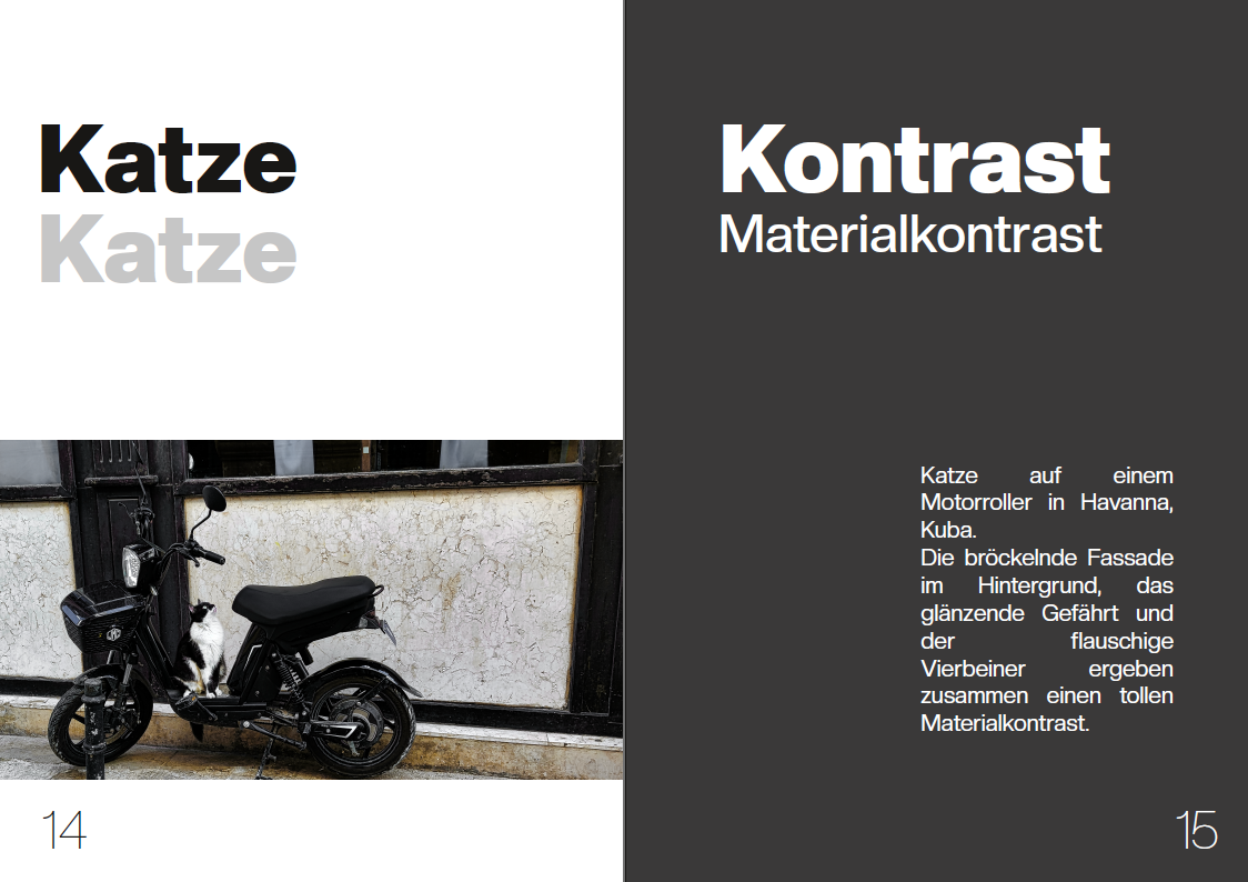 fotosafari7
