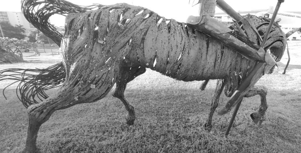 horse