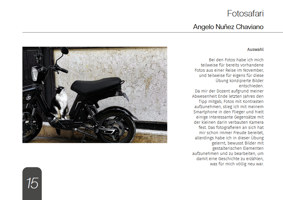 portfolio6